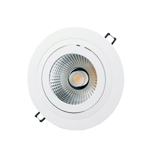 Downlight ราคาถูก-SNOW-R-AR111